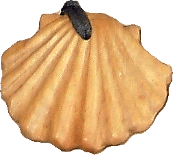 Pilgrims scallop shell - Camino Santiago